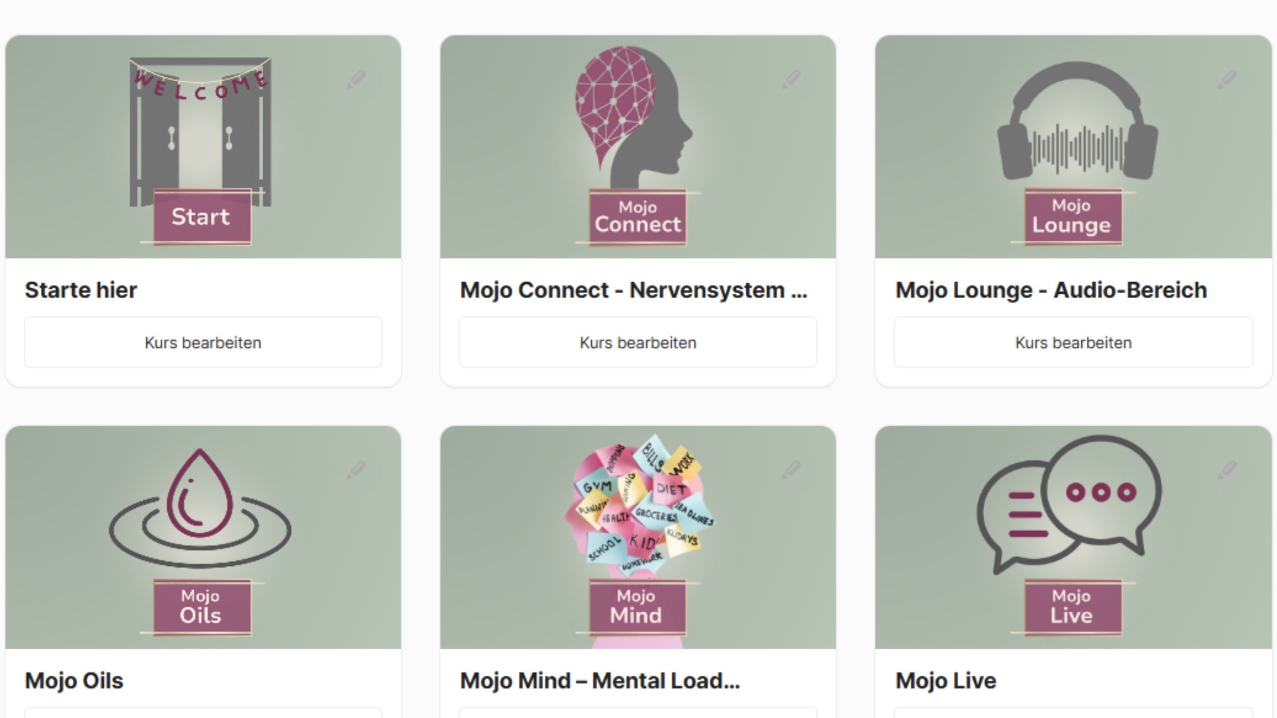 Screenshot der Kursübersicht in der Mama Mojo Homebase mit Modulen wie Mojo Connect, Mojo Mind, Mojo Oils, Mojo Lounge und Mojo Live.